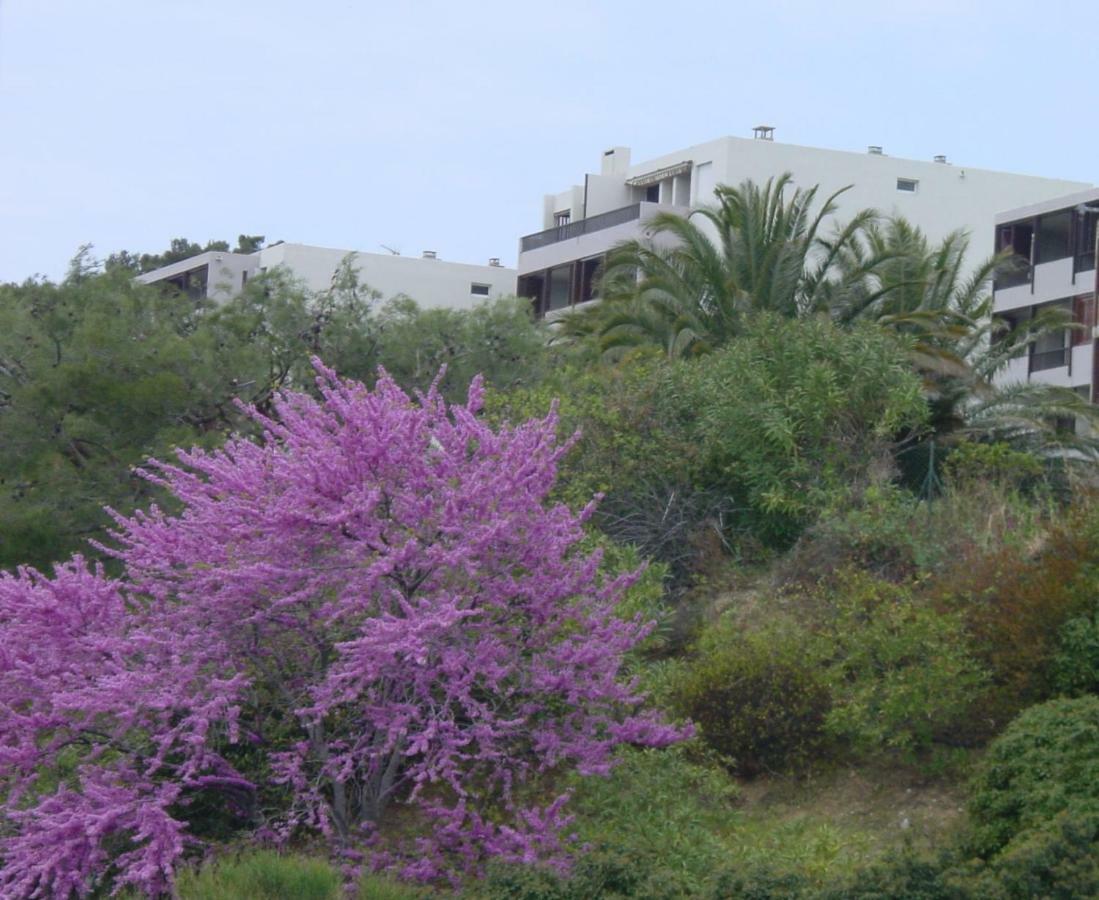 Cassis, perle de la Méditerranée Exterior foto